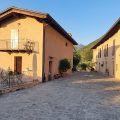 Ronco degli Ulivi