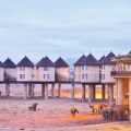 Salt Lick Safari Lodge