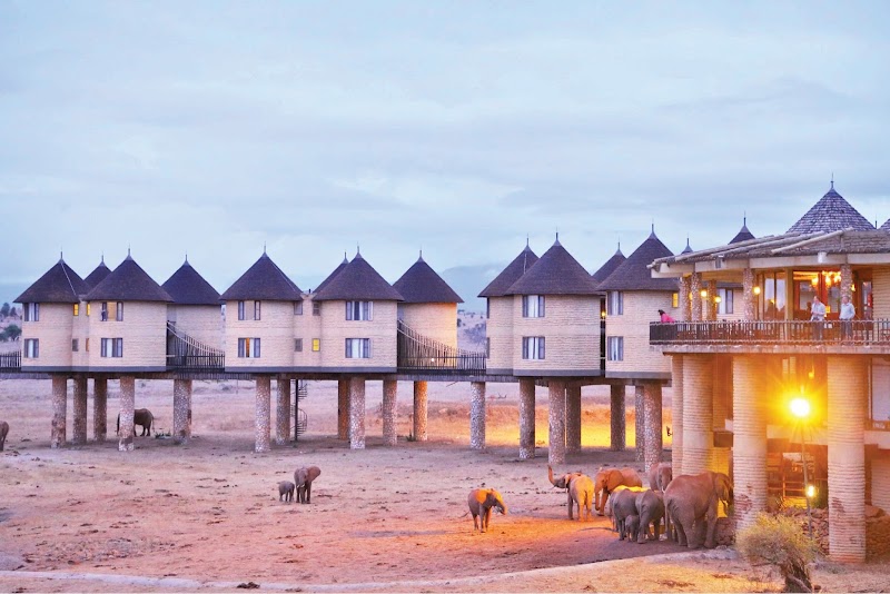 Salt Lick Safari Lodge in Tsavo, Kenya