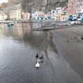 Sorrento Song