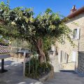 Suite San Michele
