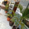 Sunrise Comfort Hotel