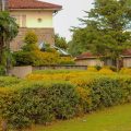 Tea Hotel Kericho
