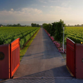Tenuta Santomè