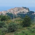Tenuta dei Biondi Ulivi