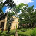 The Heritage Resort