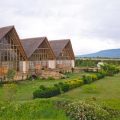 The Nest Boutique Hotel