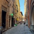 Torre Cepollini