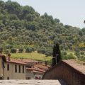 Toscani Da Sempre