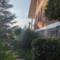 Tre Confini
