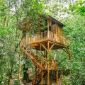 Tree Houses Hotel Costa Rica