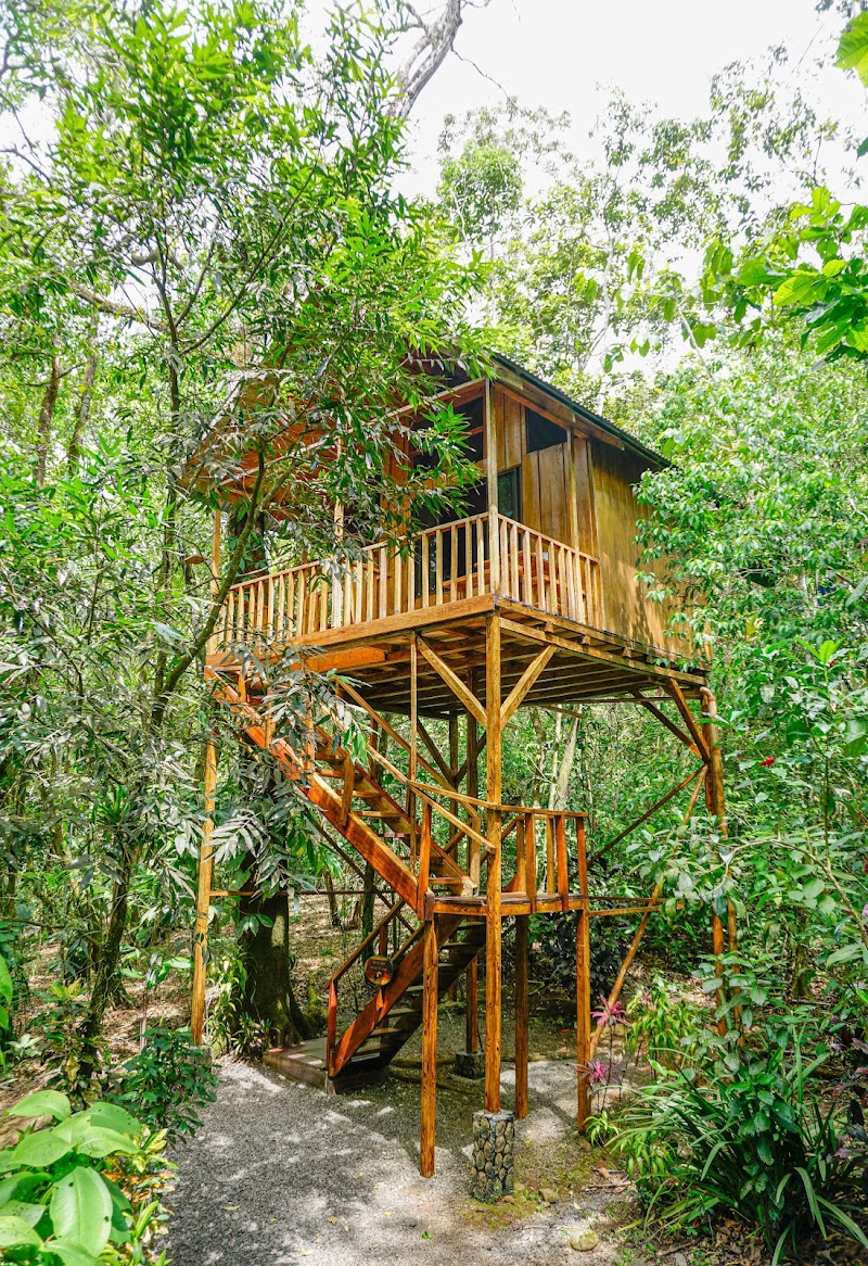 Tree Houses Hotel Costa Rica in Florencia, Costa Rica