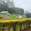 Treetops Hotel