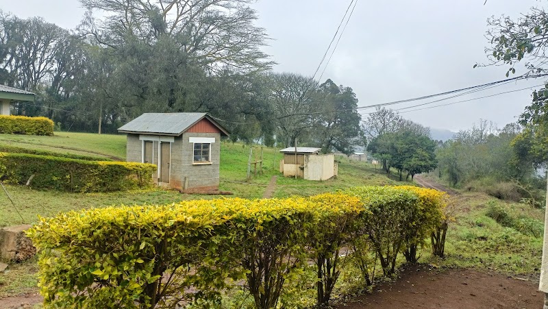 Treetops Hotel in Nyeri, Kenya