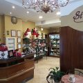 Ulivo