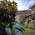 Vida Tropical Bed and Breakfast