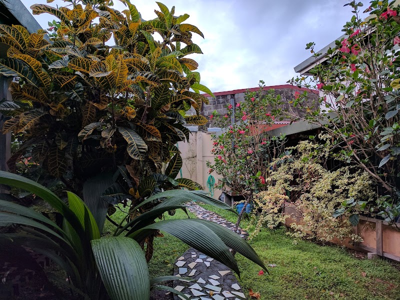 Vida Tropical Bed and Breakfast in Alajuela, Costa Rica