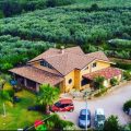 Villa Molinari
