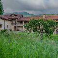 Wild Adelasia – Cascina Sarvaglioni