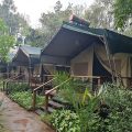 Wildebeest Eco Camp