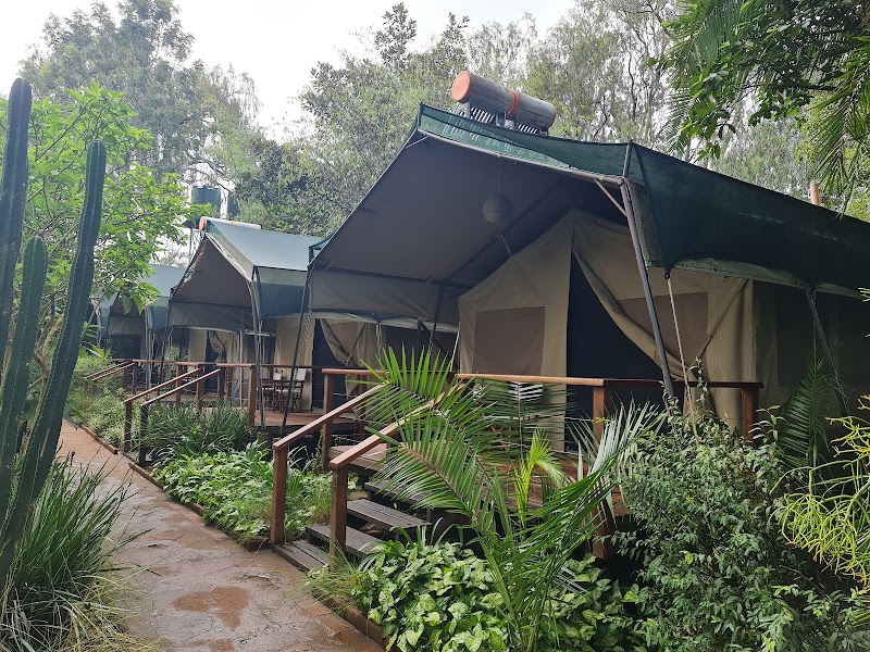Wildebeest Eco Camp in Nairobi, Kenya