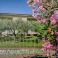 aMarti Suites