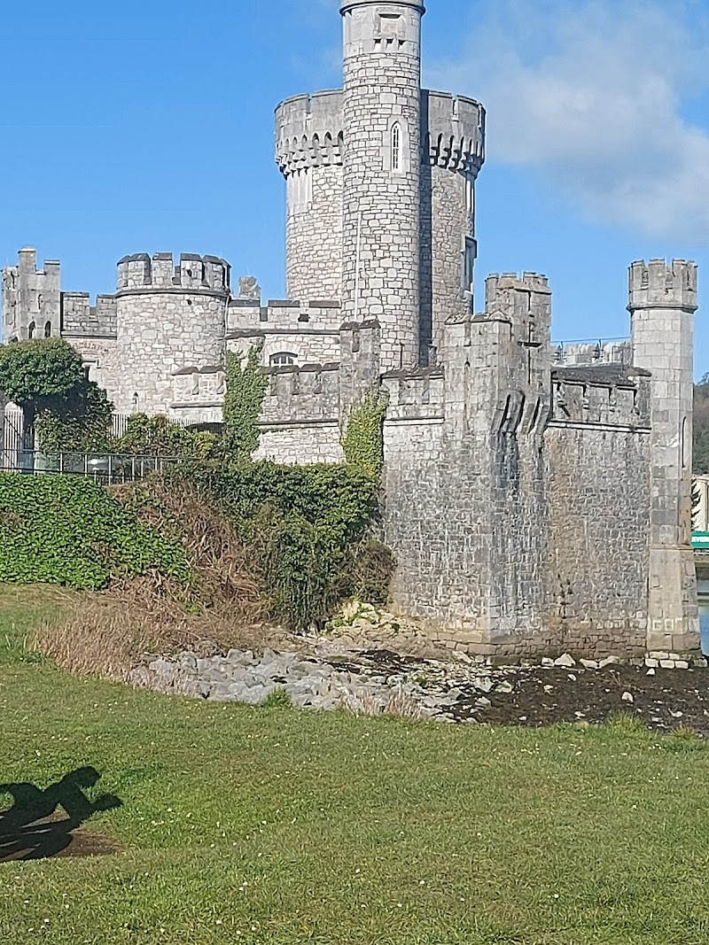 Caroleville Guesthouse in Blackrock, Ireland