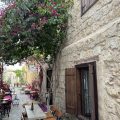 Caterina Cornaro House