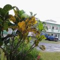 Crystal Palace Guest House