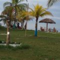 Evasion