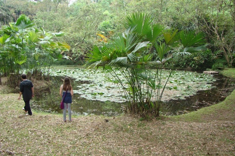 Hacienda Tinalandia in Santo Domingo de los Colorados, Ecuador