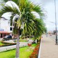 Hospedaje Orquídeas 2