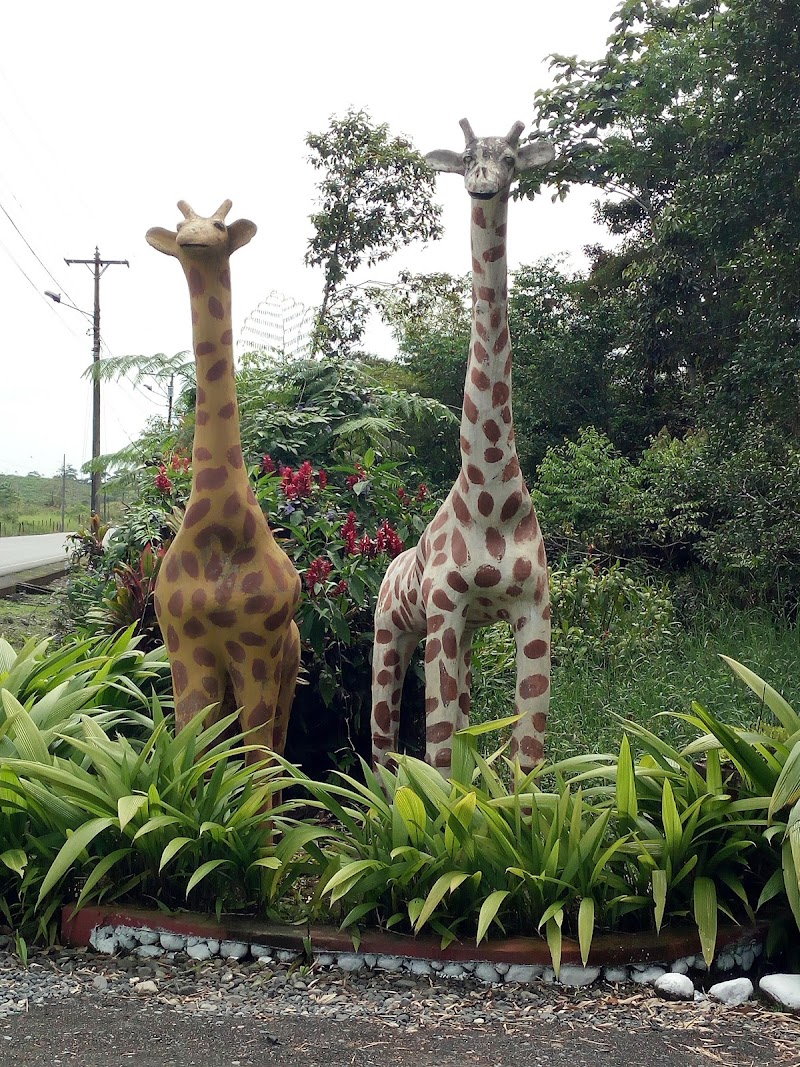 Hostería Safari in Puyo, Ecuador