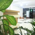 Hotel Marwah
