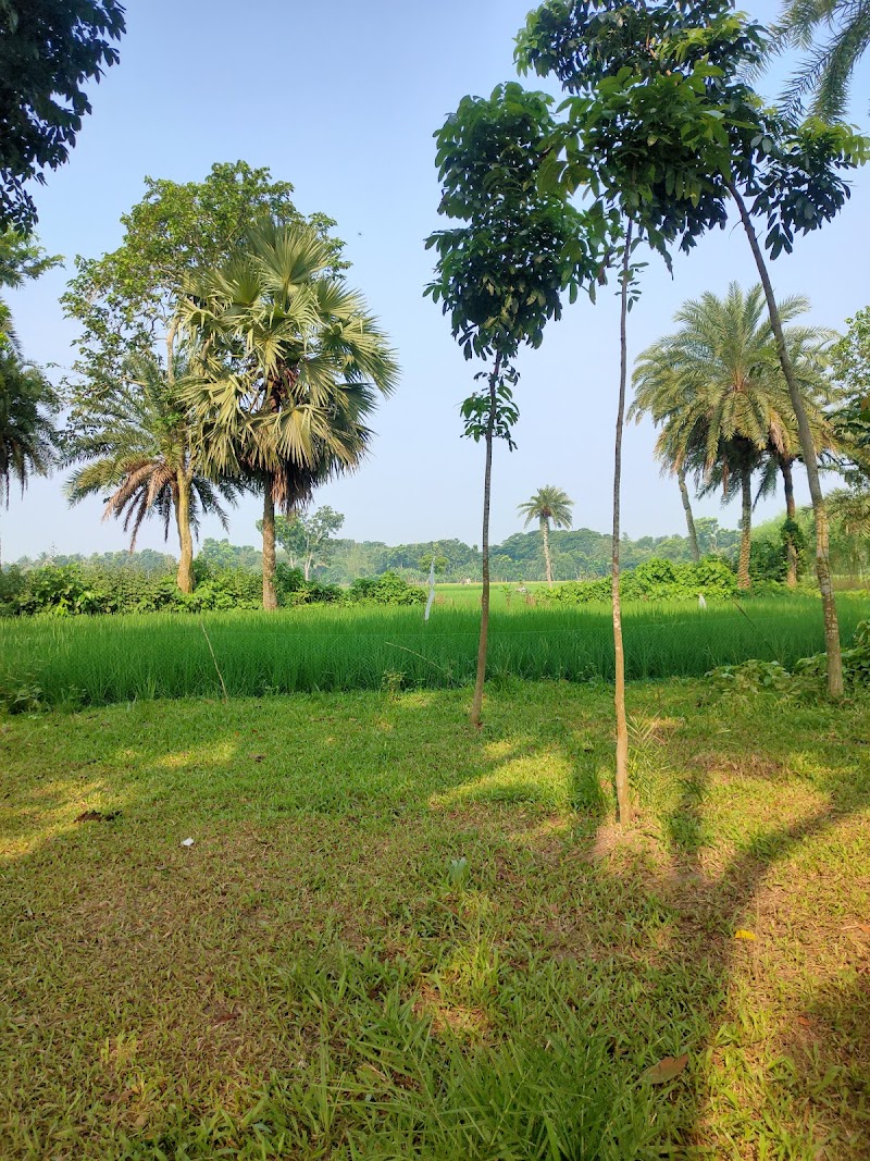 Hotel Sony Benapole in Benapol, Bangladesh