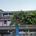 Hotel South King