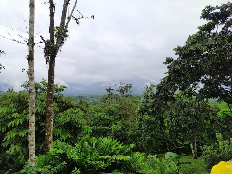 Jardin de los Sueños Protected Forest Reserve in La Mana, Ecuador