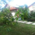 Kiskeya Guest House