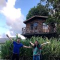 Log Thirty-Tree (Treehouse)
