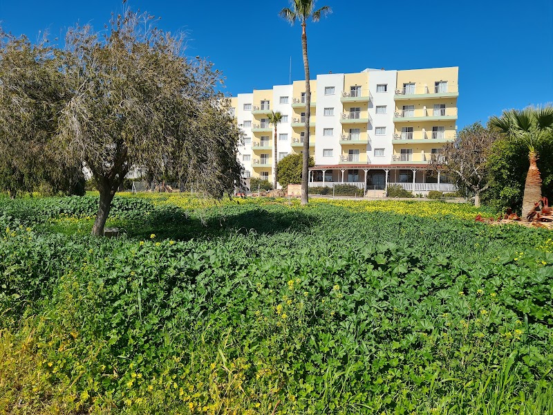 Maistrali in Paralimni, Cyprus