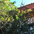 Pacheco Farmhouse