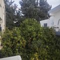 Yalın Guest House