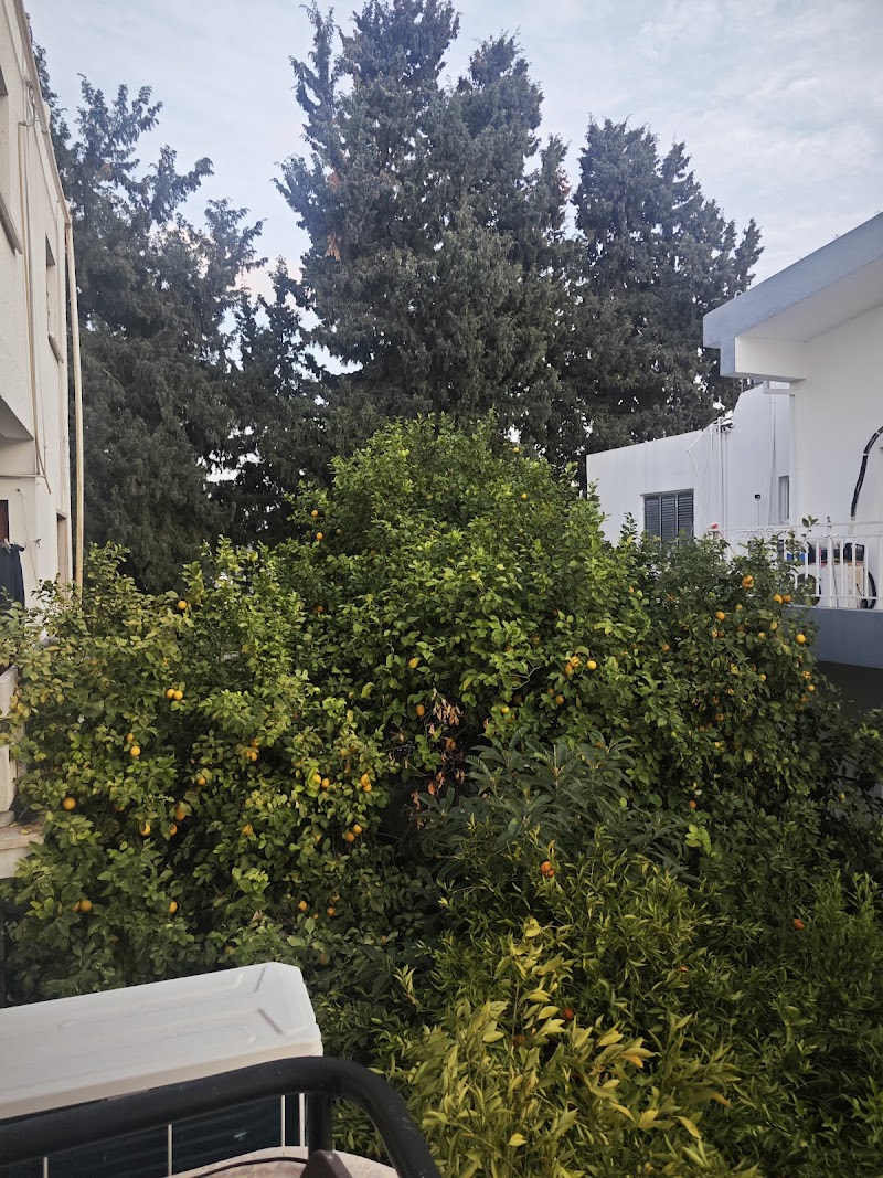 Yalın Guest House in Kyrenia, Cyprus