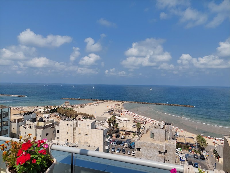 Tal by the Beach in Tel Aviv, Israel