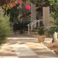 Tamer Guest House