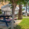 Pine Bay Club