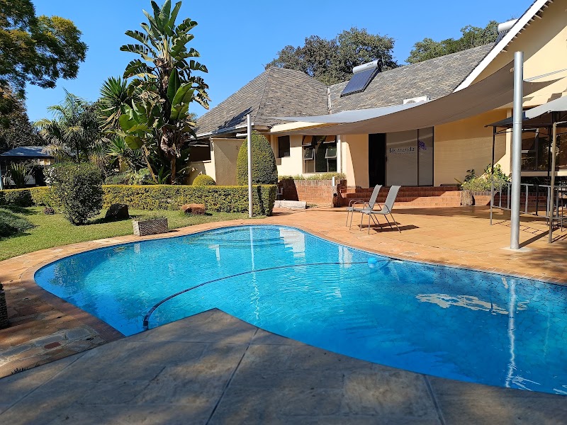 Jacaranda in Harare, Zimbabwe