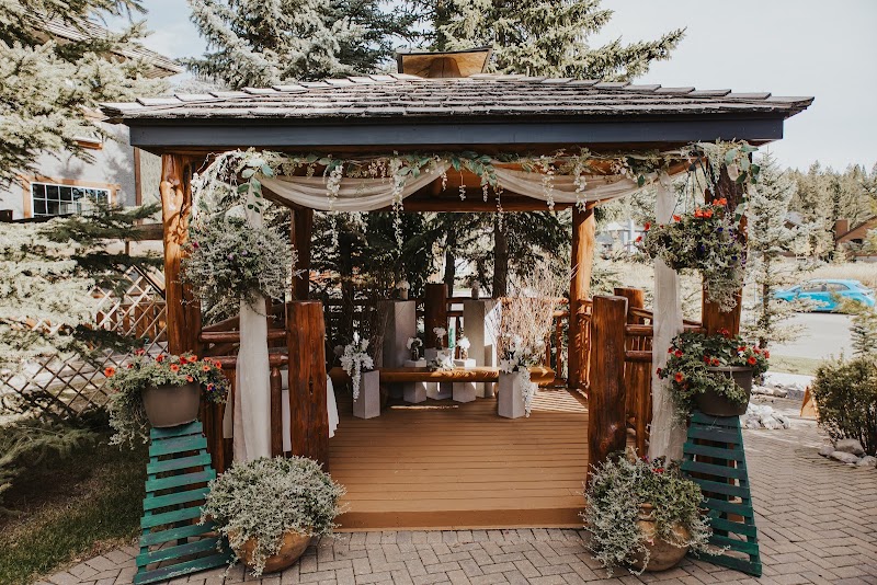 A Bear and Bison Canadian Country Inn in Canmore, Canada