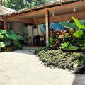 Akiri Surf Retreat