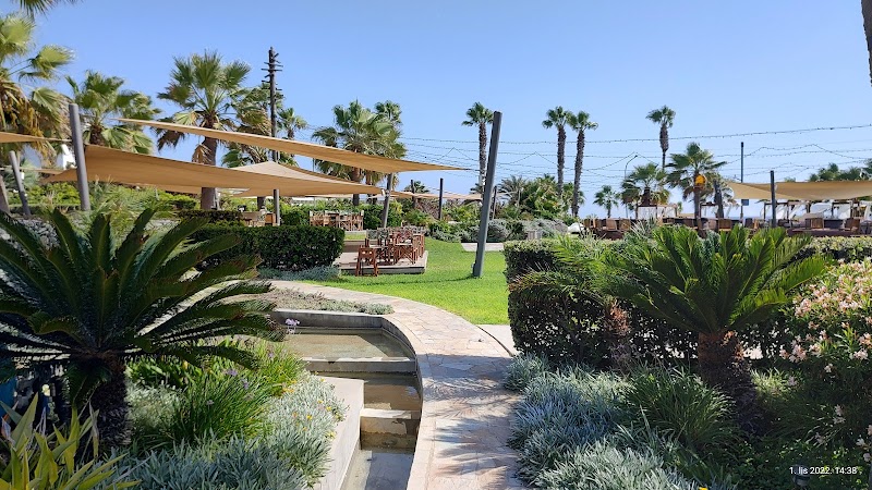 Amphora Hotel & Suites in Paphos, Cyprus